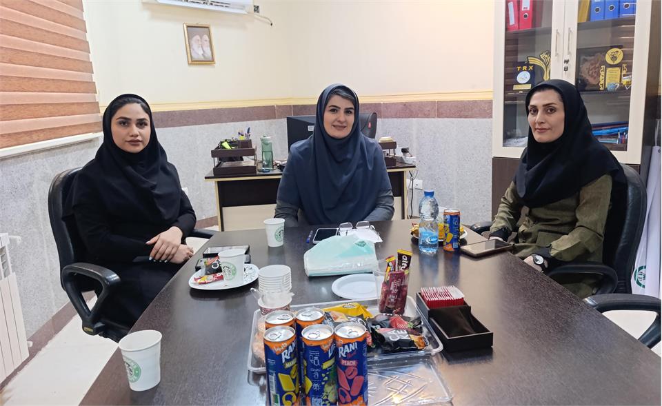 برنامه های هیات آمادگی جسمانی و تندرستی باغملک بررسی شد .